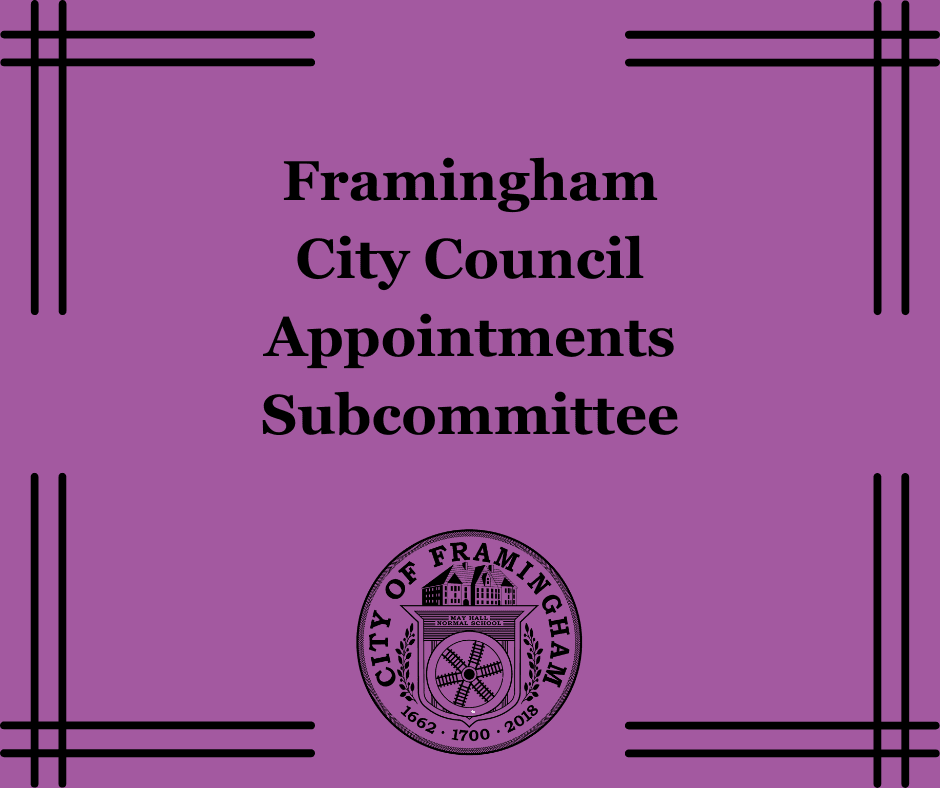 CC appointment subcommittee words on a purple background