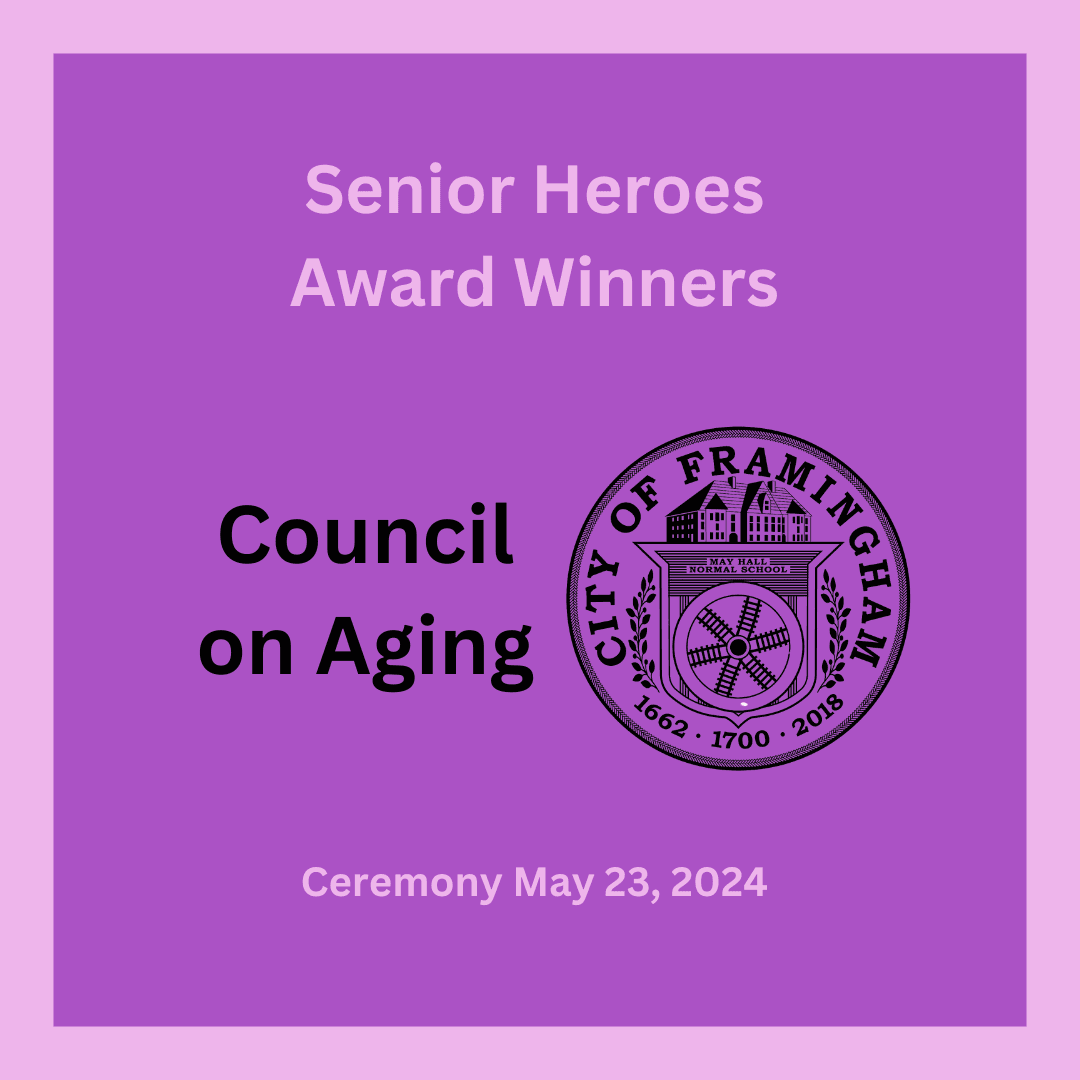 Senior Heroes AwardWinners 2024 words on purple background with city seal in white