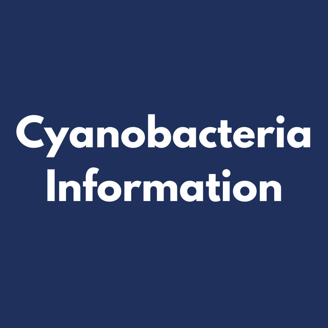 Cyanobacteria Information