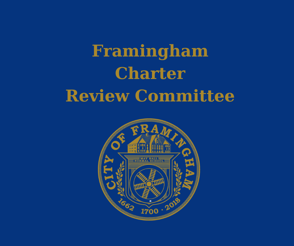 charter review committee in gold words on Navy background with gold city seal