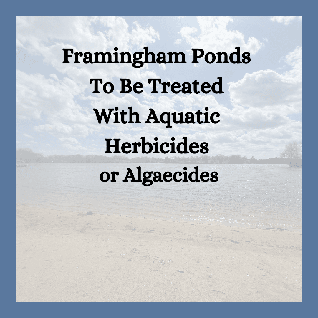 Framingham Ponds To Be Treated With Aquatic Herbicides or Algaecides with photo of pond