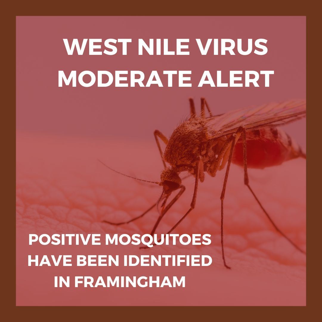 West Nile Virus Mosquito Alert Moderate; Mosquitoes with WVN found in Frramingham