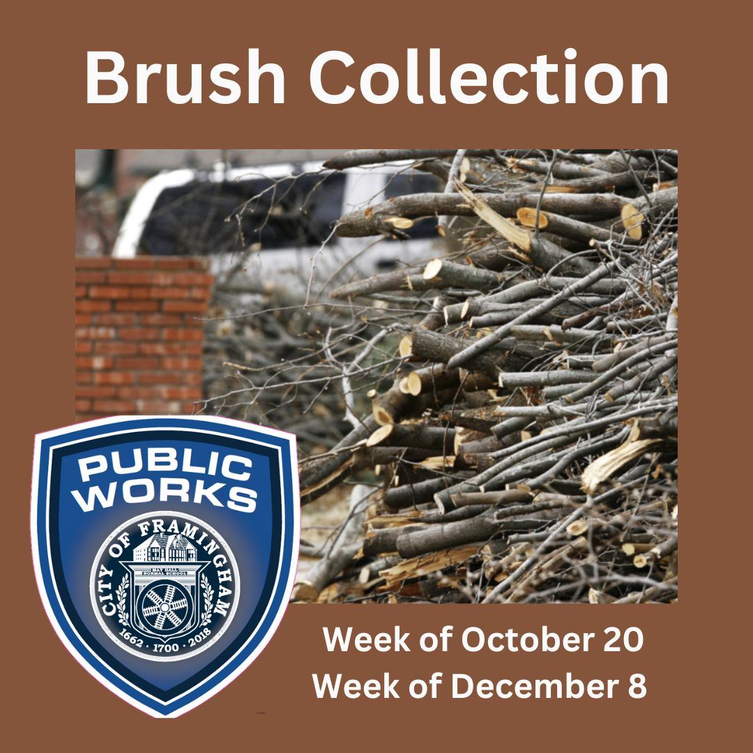 DPW Fall publish collection week of October 20 and December 8 2024 with DPW logo and photo of brush