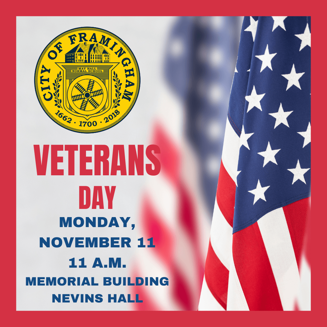 city veterans day 2024