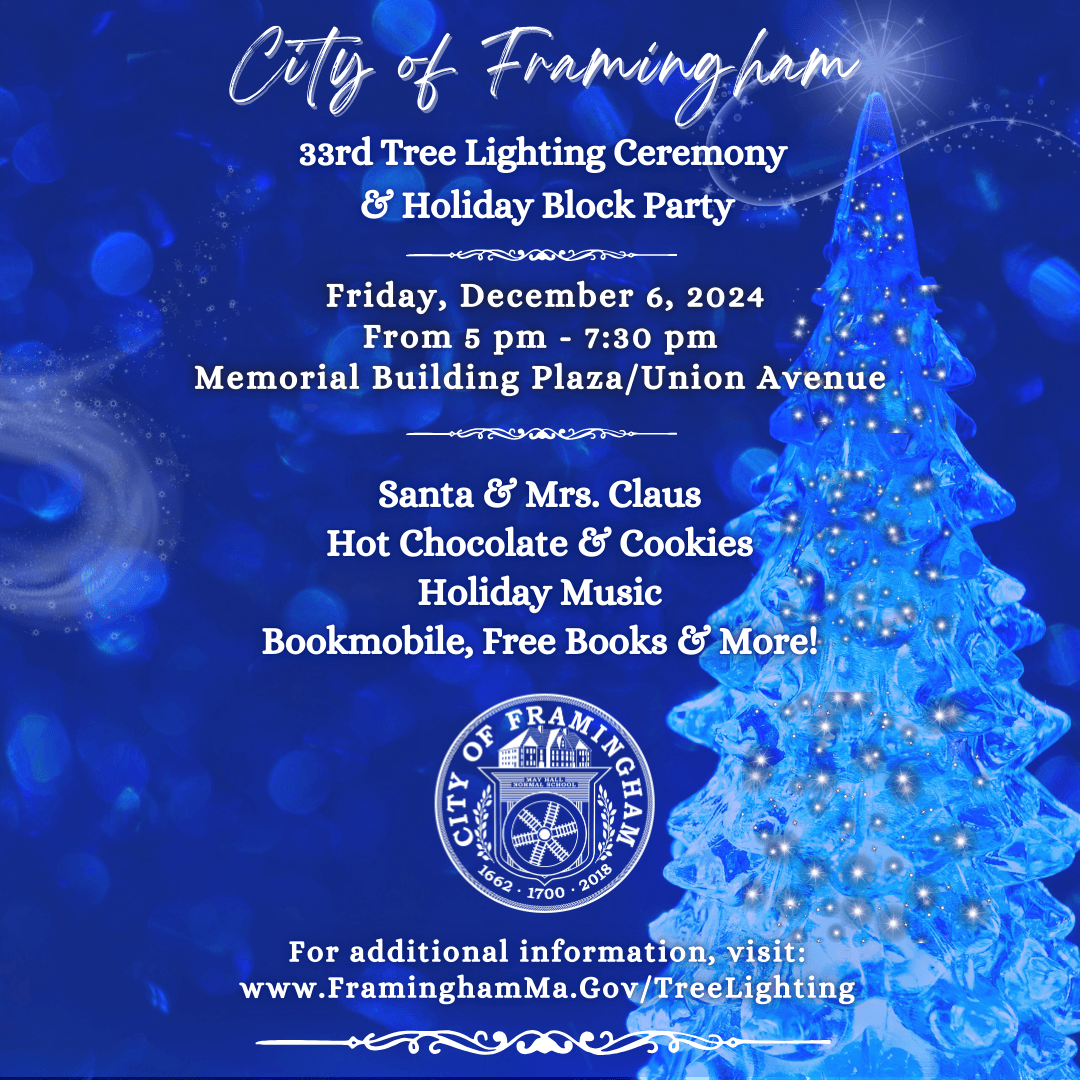 Tree Lighting Ceremony 2024 Flyer Instagram Size 