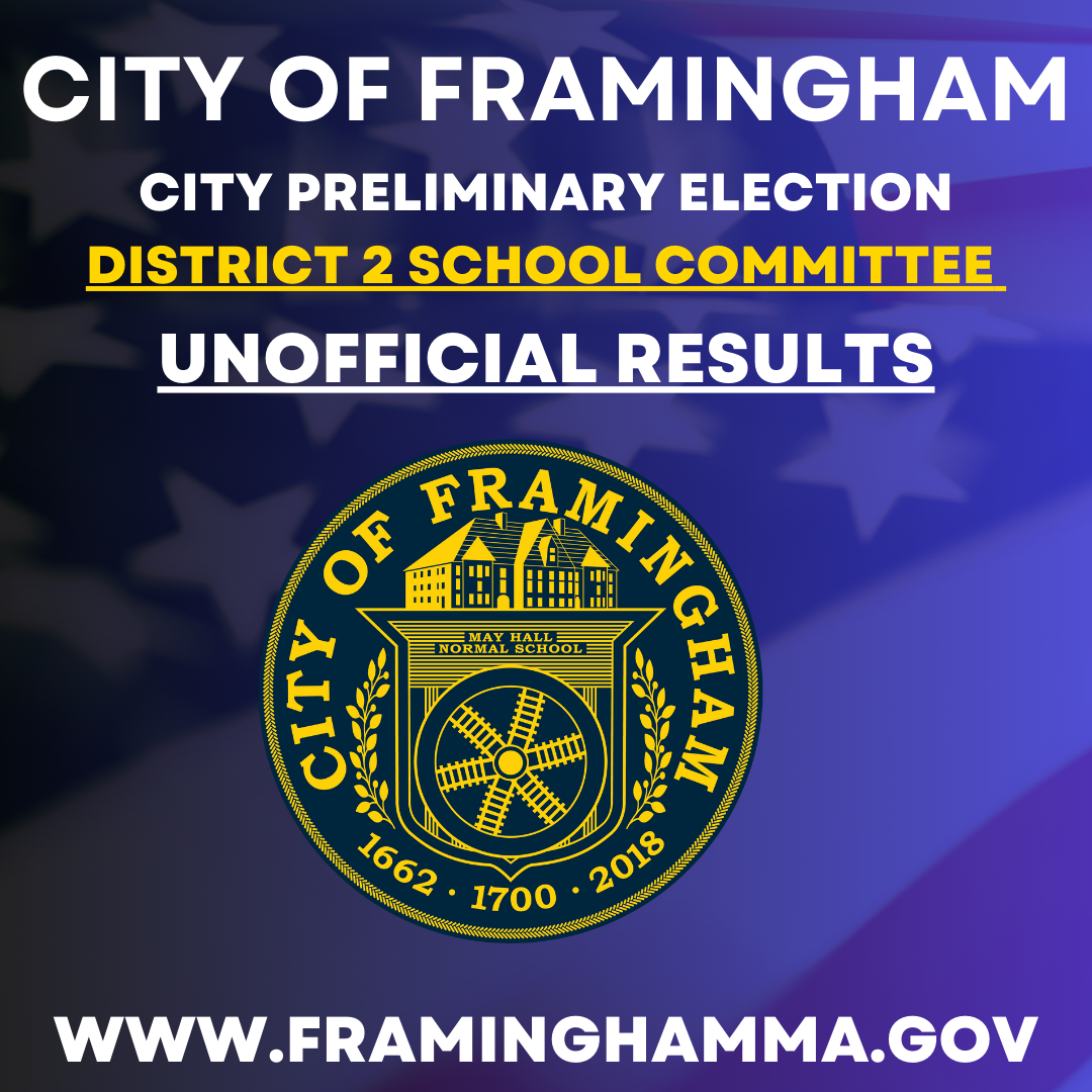 City Preliminary Election – District 2 School Committee 