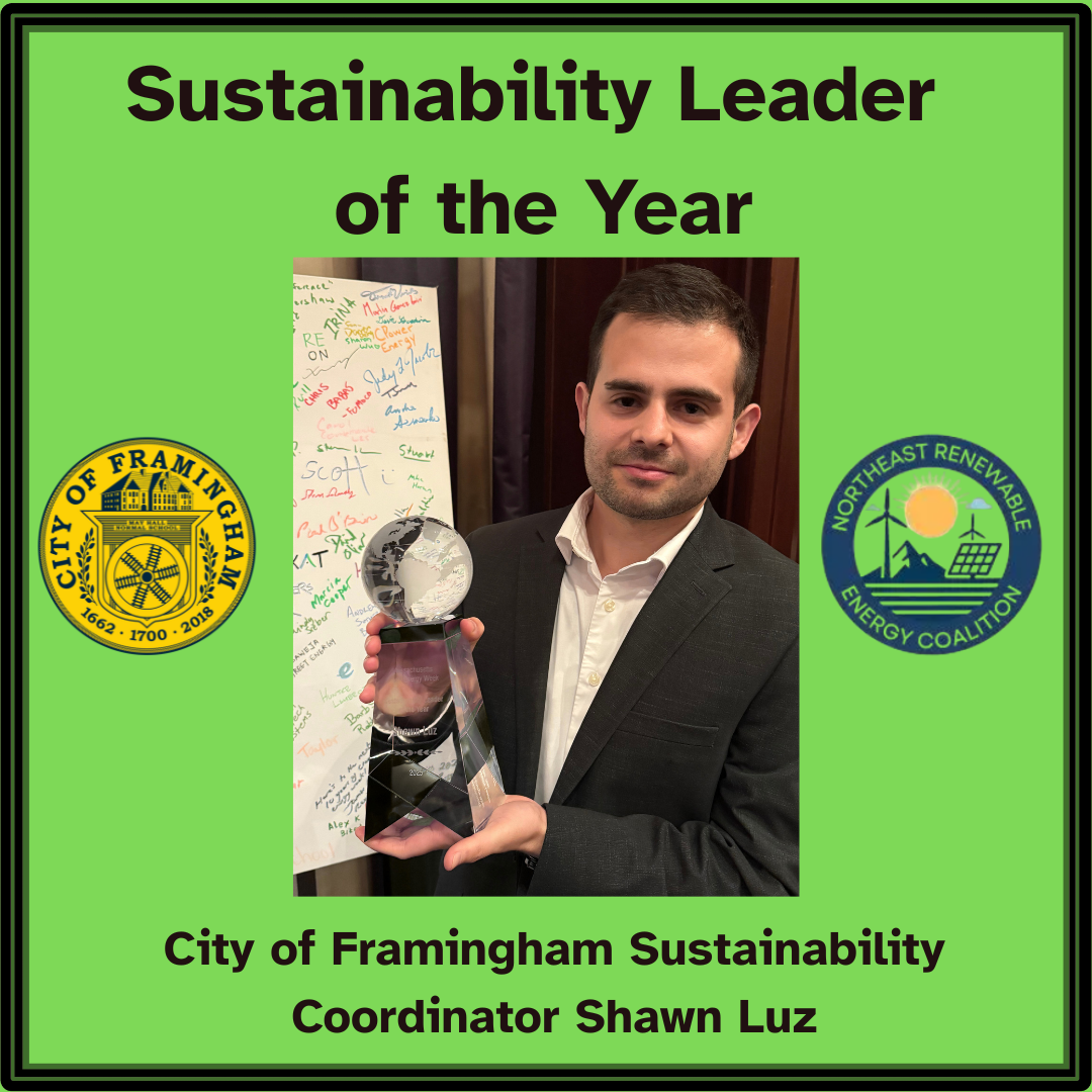 Sustainability Leader of the Year LUZ 2025