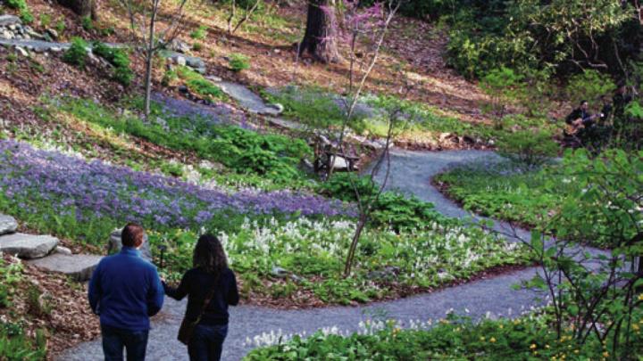 FY23-LCC-29900 NATIVE PLANT TRUST  PLANT COMMUNITIES OF MASSACHUSETTS