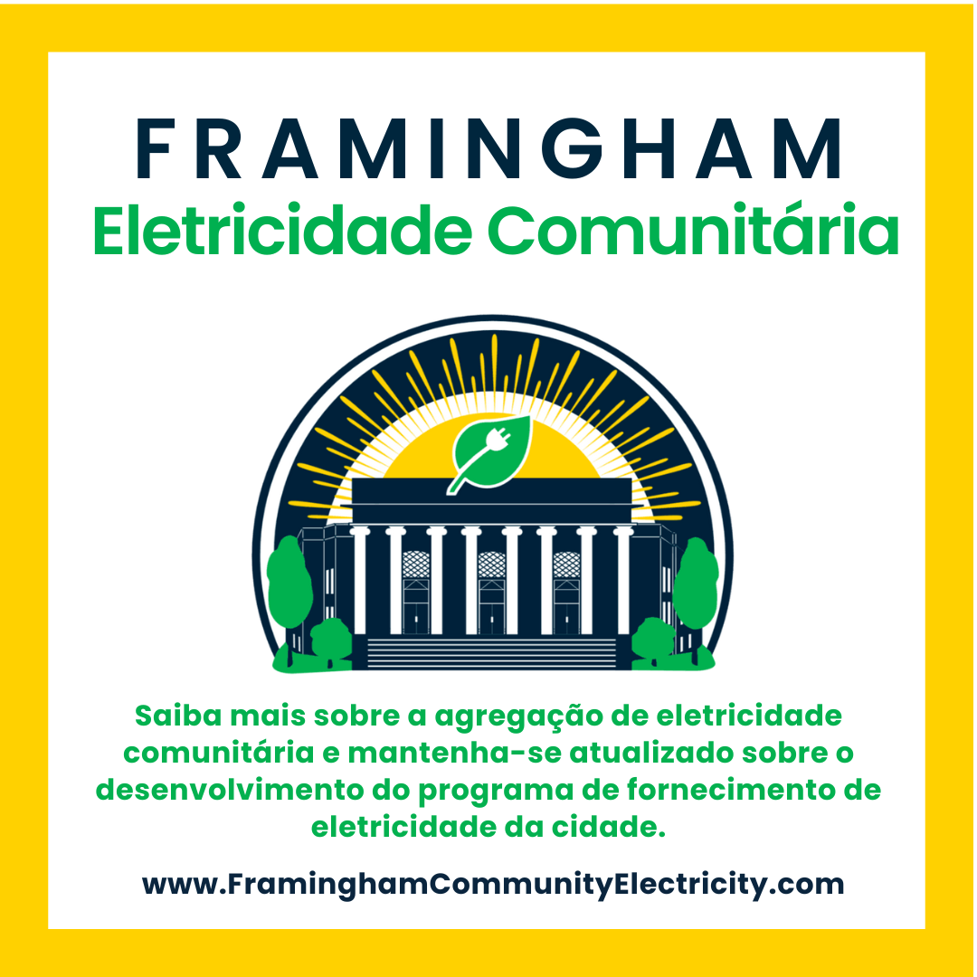 Community Eletricity pt