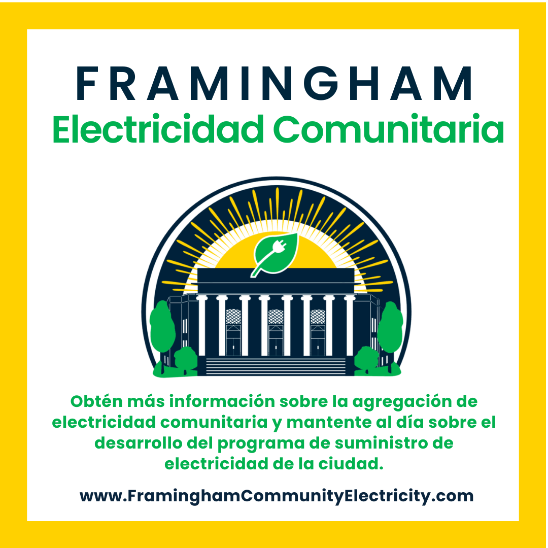 Community Eletricity sp