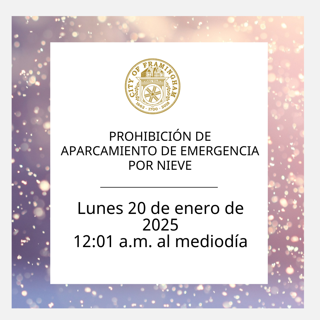 snow emergency parking ban oon January 20, 2025 from midnight to noon in spanish